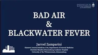 Bad Air and Blackwater Fever &ndash; Managing Malaria in Pregnancy