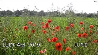 Ludham 2019 - June