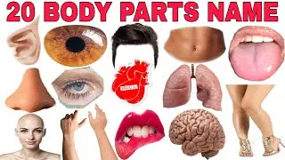 20 Body Parts Name || for kids  