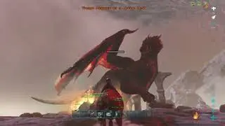 DRAGON ALPHA (RHINO OP) -ARK/PVP/SMALL