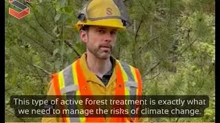 Wildfire Resilience at Strategic Natural Resource Group