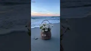 Flower Pot at the bank of Beach ⛱ | Osm evening Best Emotional Moments | Subscribe_for_new_videos👇