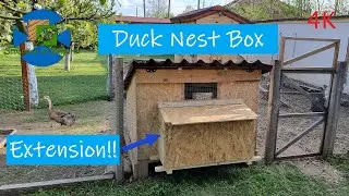 HOW TO MAKE A DUCK NEST BOX | CONSTRUCTION!