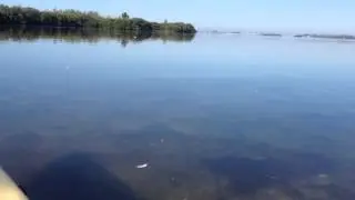Shallow Water Kayaking