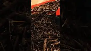 XAVA Recycling GmbH - LS16 🌱👩&zwj;🌾 #shorts
