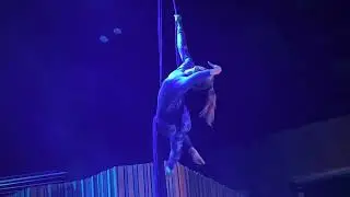 Olga Psareva Circus Artist/Aerialist