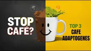 TOP 3 Champignons Adaptog&egrave;nes Alternative au Caf&eacute;