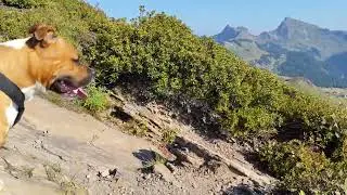 La Pointe de Marcelly en Boucle | Vue Mont Blanc et Rando avec notre Staff