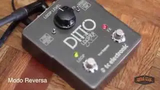 Ditto X2 TC Electronic