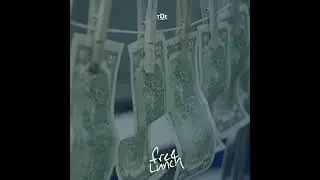 Free Lunch Instrumental (Remake)