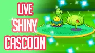 [LIVE] 5% Shiny Cascoon full odds after ONLY 240 seen! | Pokemon Platinum Shiny Reaction
