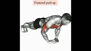 Diamond push up 3d animation video #workout #3danimation #subscribe #shorts
