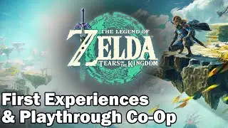 Paper Boy Link | Legend of Zelda: Tears of the Kingdom