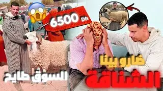 رشيد عصبوه في سوق كزولة الحولي مجود ثمن معقول