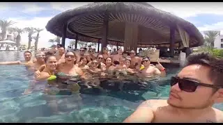 Harold & Sam's Pre-Wedding Welcome Dinner/Pool Party/Travel Vlog