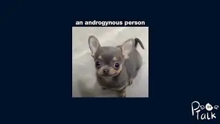 my experience as an androgynous person ☞ EP 3