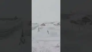 4 Feet Snowfall accumulated in sonmarg.#snow