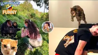 🐱😹 Cat Funniest Moments | Tamil Comedy Animals | Cute & Funny Pets Video 2025
