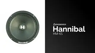 Распаковка динамиков Hannibal HM-6S