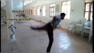 Spin Kick and Jumping Spin Kick