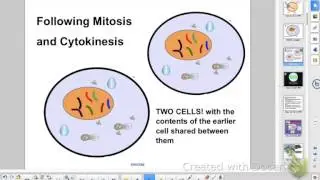 HBio Ch 5, P1: Cell Division -The Cell Cycle