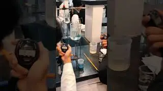 Testing for reducing sugars with Benedict&rsquo;s solution