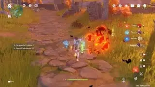 Field Tiller wants to play! - Genshin Impact