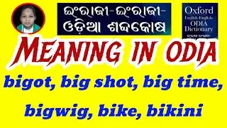 bigot, big shot, big time, bigwig, bike, bikini Meaning In Odia & English