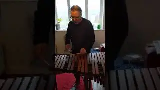 Premier Xylophone for sale Ebay