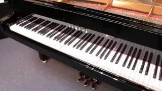 MVI 0815