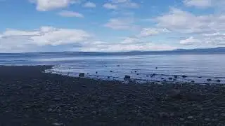 Mt Douglas Beach