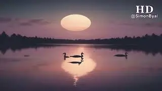 Instrumental Sax Music 4: Soft Beautiful Relaxing Calming Stress Relief Slow Dancing Moods & Vibes