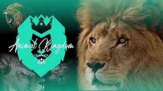 Did you Know? A few Interesting Facts about lions...