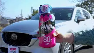 SOFT99 