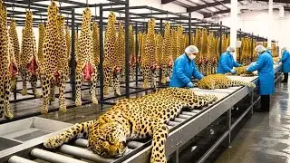 How Leopard Leather Products Are Really Made &ndash; Hidden Factory Process