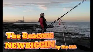Cod Hunt | Northumberland