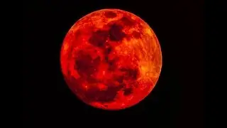 LEO FULL BLOOD SUPER MOON & LUNAR ECLIPSE | JANUARY 20 - FEBRUARY 3, 2019