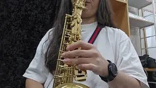 Very cheap china saxophone(170~180$)