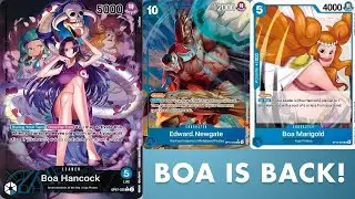 Blue Boa gets some crazy buffs in OP13!!!