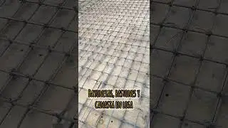 bayonetas, bastones, y canasta en losa