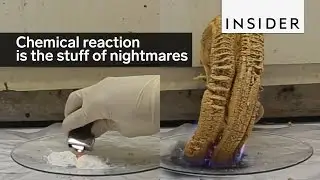 Chemical reaction is stuff of nightmares