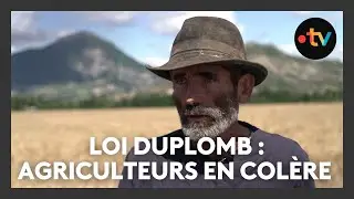 Des agriculteurs contre la loi Duplomb