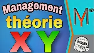 Management (EP 15): la théorie X & Y