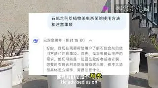 当我用DeePSeek查阅石硫合剂的使用方法和注意事项时，被颠覆认知了