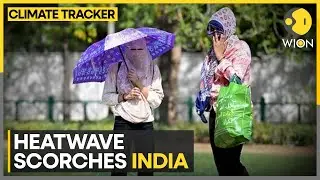 India: 99 people dead from heatstroke, IMD issues heatwave alert | World News | WION