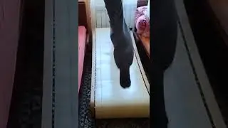 Бігова доріжка власного виробництва/ Curved treadmill