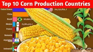 Most of the Corn Production Countries