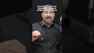 Andrew Huberman Qualities of Light That Trigger Activation of Retinal Ganglion Cells 2024