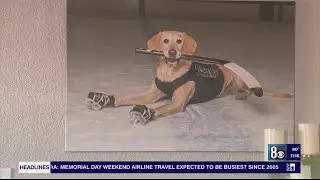 Family grieves sudden loss of Las Vegas's iconic 'Benny the Ice-Skating Dog'