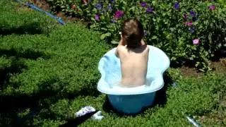 MOV06121